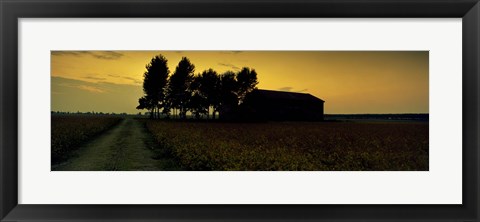 Framed Silhouette of a farmhouse at sunset, Polesine, Veneto, Italy Print