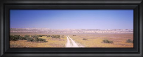 Framed Dirt road passing through a landscape, Carrizo Plain, San Luis Obispo County, California, USA Print