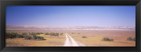 Framed Dirt road passing through a landscape, Carrizo Plain, San Luis Obispo County, California, USA Print