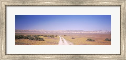 Framed Dirt road passing through a landscape, Carrizo Plain, San Luis Obispo County, California, USA Print