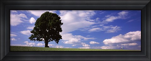Framed Tree in a field with woman walking along with balloons, Baden-Wurttemberg, Germany Print