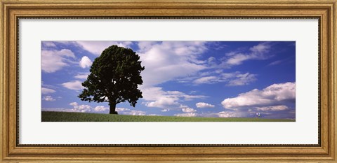 Framed Tree in a field with woman walking along with balloons, Baden-Wurttemberg, Germany Print