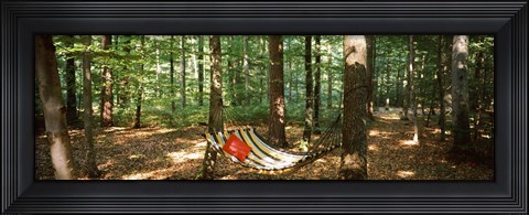 Framed Hammock in a forest, Baden-Wurttemberg, Germany Print