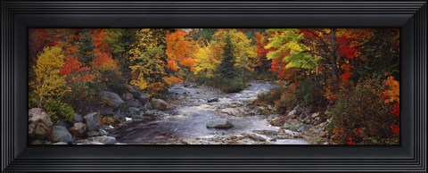 Framed Stream with trees in a forest in autumn, Nova Scotia, Canada Print