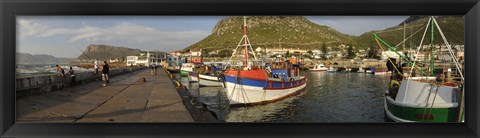 Framed Fishing boats at a harbor, Kalk Bay, False Bay, Cape Town, Western Cape Province, South Africa Print