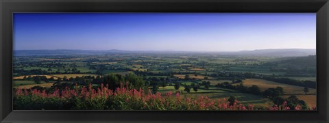 Framed Trees on a landscape, Uley, Cotswold Hills, Gloucestershire, England Print