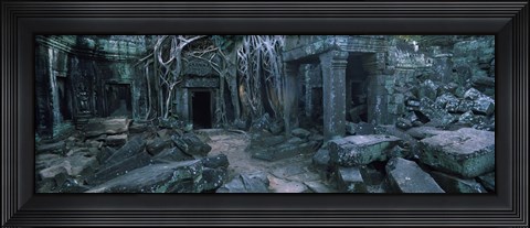 Framed Overgrown tree roots on ruins of a temple, Ta Prohm Temple, Angkor, Cambodia Print