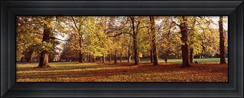 Framed Ludwigsburg Park in autumn, Ludwigsburg, Baden-Wurttemberg, Germany Print