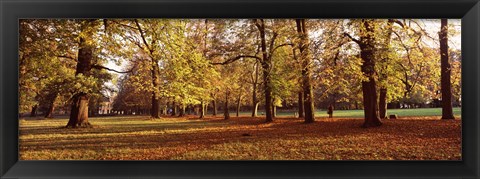 Framed Ludwigsburg Park in autumn, Ludwigsburg, Baden-Wurttemberg, Germany Print