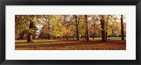 Framed Ludwigsburg Park in autumn, Ludwigsburg, Baden-Wurttemberg, Germany Print