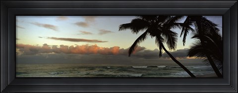 Framed Palm trees on the beach, Hawaii, USA Print