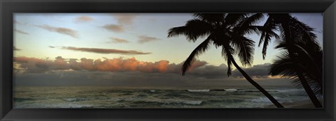Framed Palm trees on the beach, Hawaii, USA Print