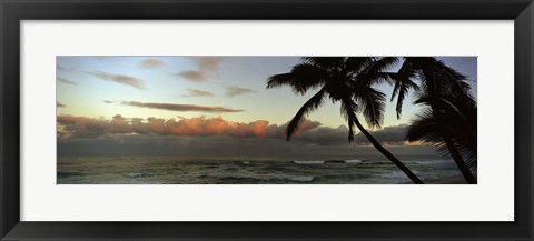 Framed Palm trees on the beach, Hawaii, USA Print