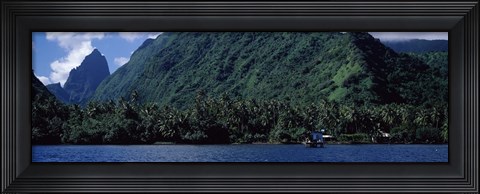 Framed Trees on the coast, Tahiti, French Polynesia Print