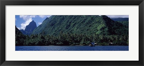 Framed Trees on the coast, Tahiti, French Polynesia Print