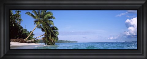 Framed Palm trees on the beach, Indonesia Print