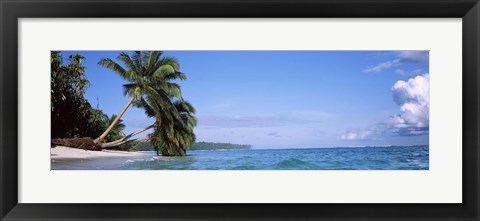 Framed Palm trees on the beach, Indonesia Print