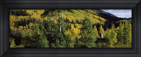 Framed Newlywed couple in a forest, Aspen, Pitkin County, Colorado, USA Print