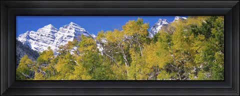 Framed Forest with snowcapped mountains in the background, Maroon Bells, Aspen, Pitkin County, Colorado, USA Print