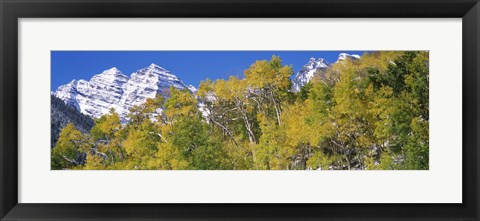 Framed Forest with snowcapped mountains in the background, Maroon Bells, Aspen, Pitkin County, Colorado, USA Print