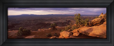 Framed Canyonlands National Park, San Juan County, Utah Print