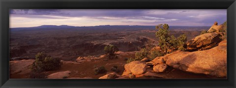 Framed Canyonlands National Park, San Juan County, Utah Print