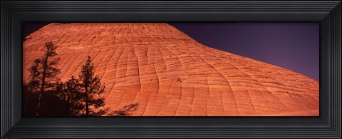 Framed Shadow of trees on a rock formation, Checkerboard Mesa, Zion National Park, Utah, USA Print