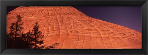 Framed Shadow of trees on a rock formation, Checkerboard Mesa, Zion National Park, Utah, USA Print