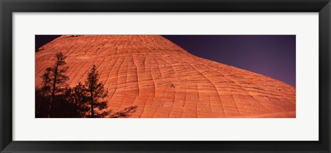 Framed Shadow of trees on a rock formation, Checkerboard Mesa, Zion National Park, Utah, USA Print