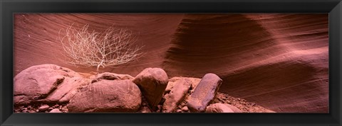 Framed Bare Tree and Rock formations, Antelope Canyon, Arizona Print