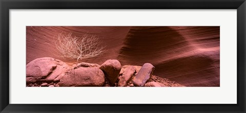 Framed Bare Tree and Rock formations, Antelope Canyon, Arizona Print