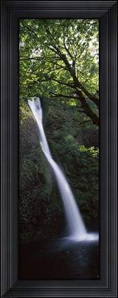 Framed Waterfall in a forest, Horsetail falls, Larch Mountain, Hood River, Columbia River Gorge, Oregon, USA Print