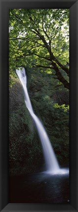 Framed Waterfall in a forest, Horsetail falls, Larch Mountain, Hood River, Columbia River Gorge, Oregon, USA Print