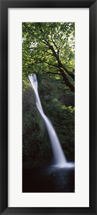 Framed Waterfall in a forest, Horsetail falls, Larch Mountain, Hood River, Columbia River Gorge, Oregon, USA Print