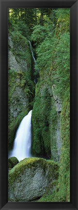 Framed Waterfall in a forest, Columbia River Gorge, Oregon, USA Print