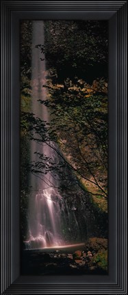 Framed Waterfall in a forest, Columbia Gorge, Oregon, USA Print