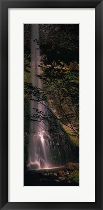 Framed Waterfall in a forest, Columbia Gorge, Oregon, USA Print