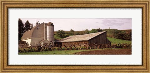 Framed Old barns, Palouse, Whitman County, Washington State Print