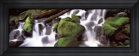 Framed Cascading waterfall in a rainforest, Olympic National Park, Washington State, USA Print
