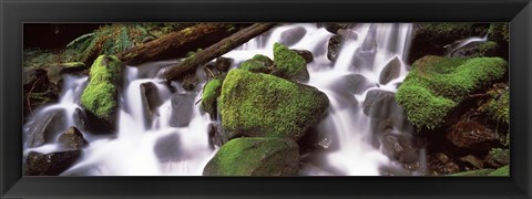 Framed Cascading waterfall in a rainforest, Olympic National Park, Washington State, USA Print