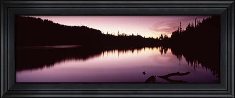 Framed Reflection of trees in a lake, Mt Rainier, Pierce County, Washington State Print