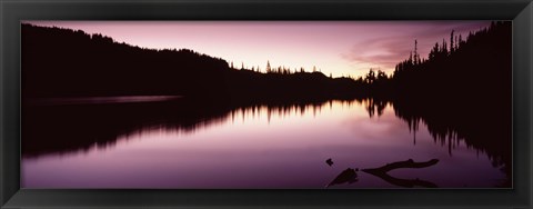 Framed Reflection of trees in a lake, Mt Rainier, Pierce County, Washington State Print