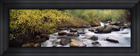 Framed River passing through a forest, Inyo County, California, USA Print