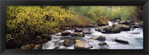 Framed River passing through a forest, Inyo County, California, USA Print