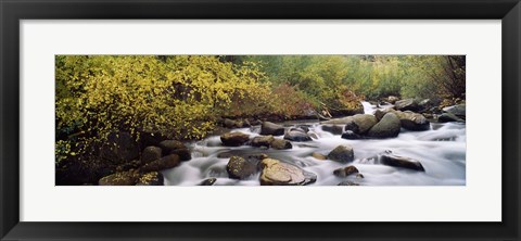 Framed River passing through a forest, Inyo County, California, USA Print