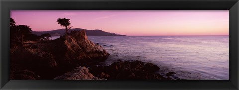 Framed Silhouette of a cypress tree at coast, The Lone Cypress, 17 mile Drive, Carmel, California, USA Print