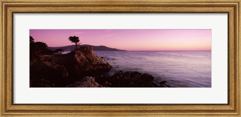 Framed Silhouette of a cypress tree at coast, The Lone Cypress, 17 mile Drive, Carmel, California, USA Print
