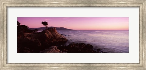 Framed Silhouette of a cypress tree at coast, The Lone Cypress, 17 mile Drive, Carmel, California, USA Print
