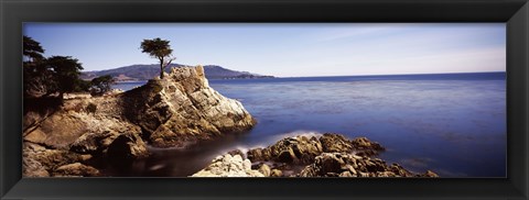 Framed Cypress tree at the coast, The Lone Cypress, 17 mile Drive, Carmel, California Print