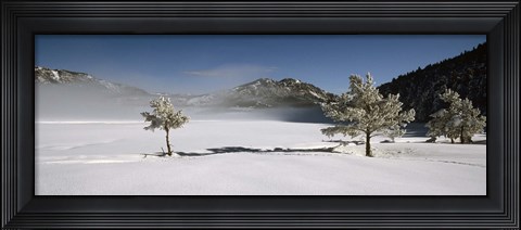 Framed Trees on a snow covered landscape, French Riviera, France Print